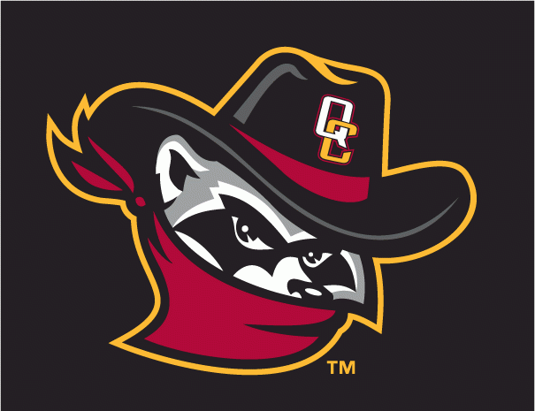 Quad Cities River Bandits 2008-2010 Cap Logo decal supplier